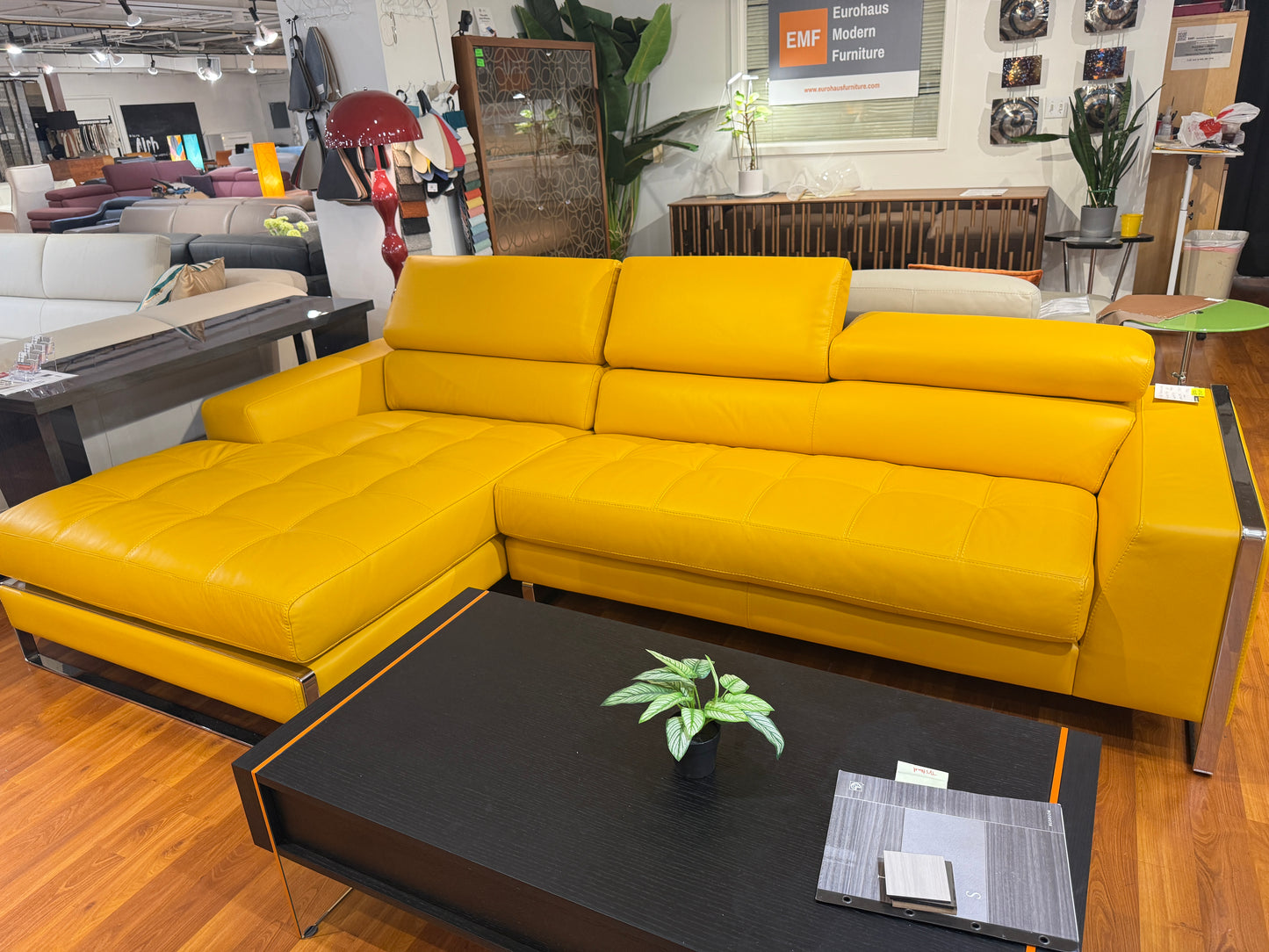 ALPA SALOTTI - Raymond Leather Secational - Eurohaus Modern Furniture