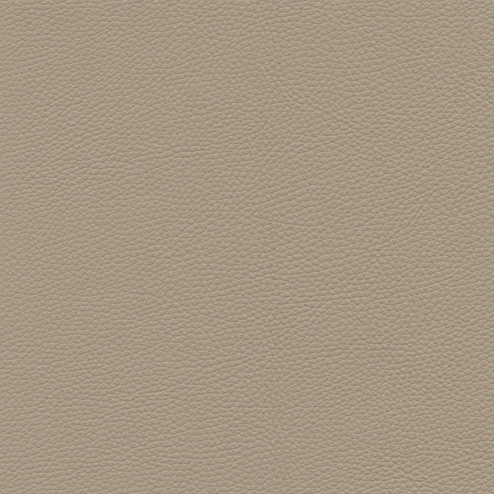 Nicoletti - ITALO SOFA COLLECTIONS - Eurohaus Modern Furniture