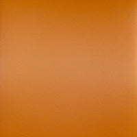 Colibri - Margot Genuine Leather Chair (2) - Eurohaus Modern Furniture LLC