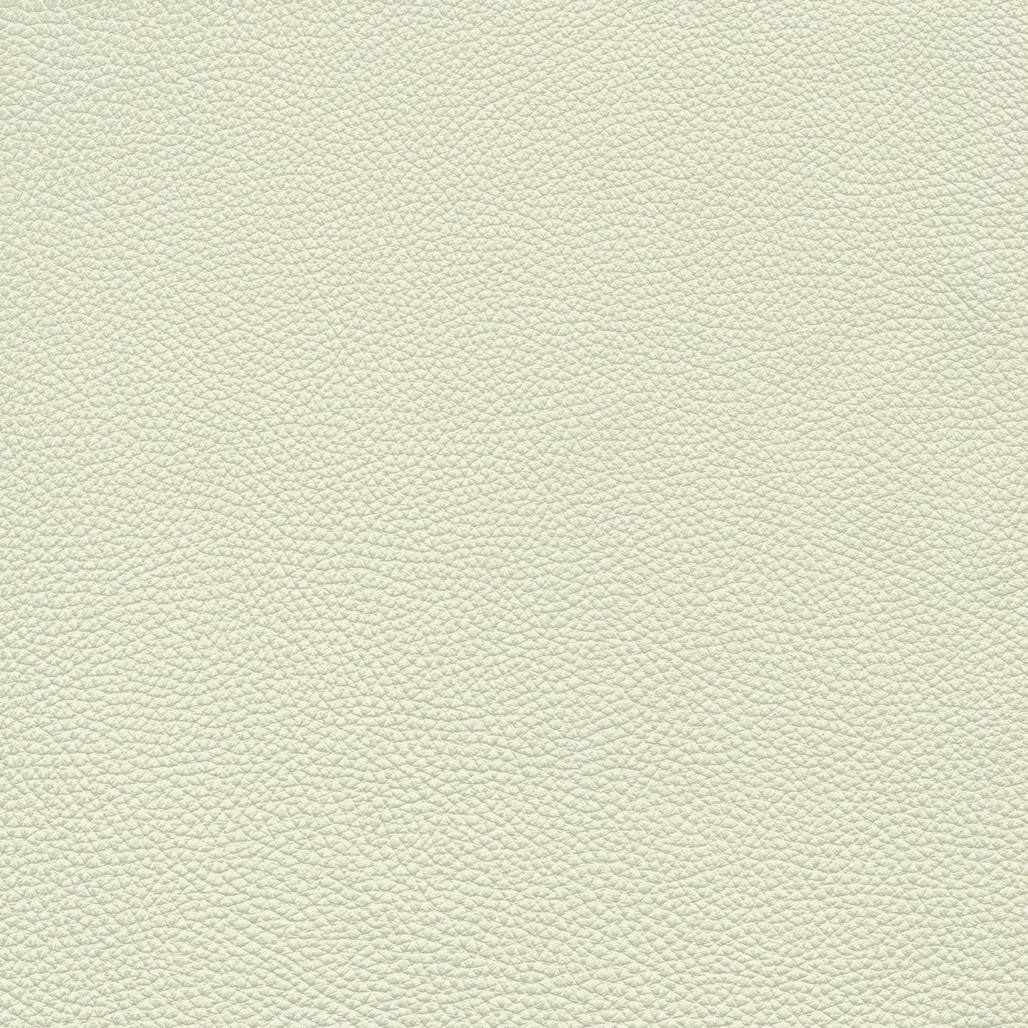 OPTION #4 / BIANCO 2153