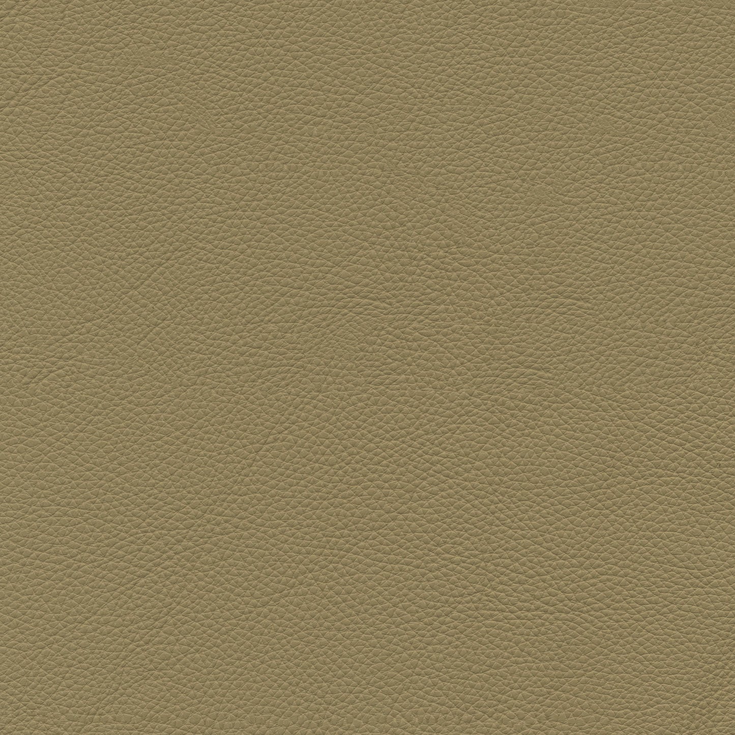 OPTION #1/ CREMA 2156