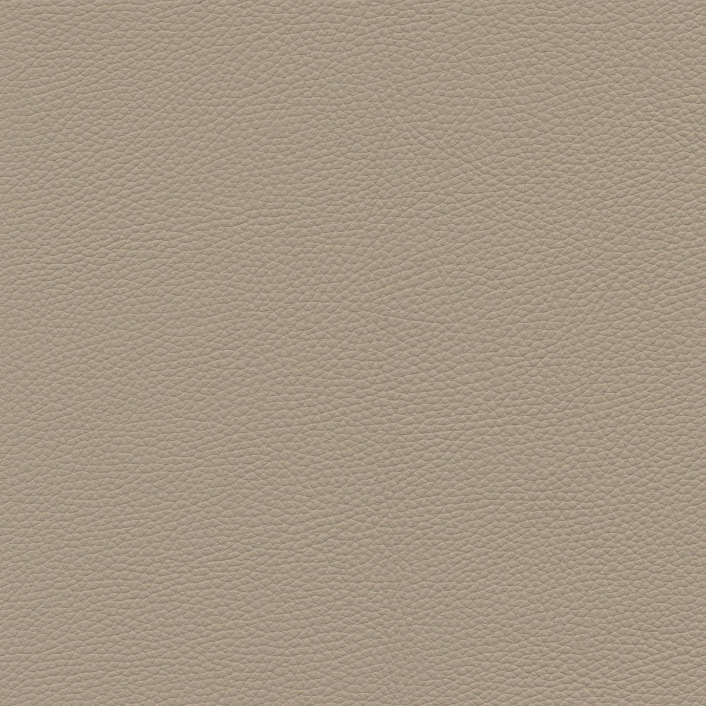 Nicoletti - Heni Leather Sectional - Eurohaus Modern Furniture LLC