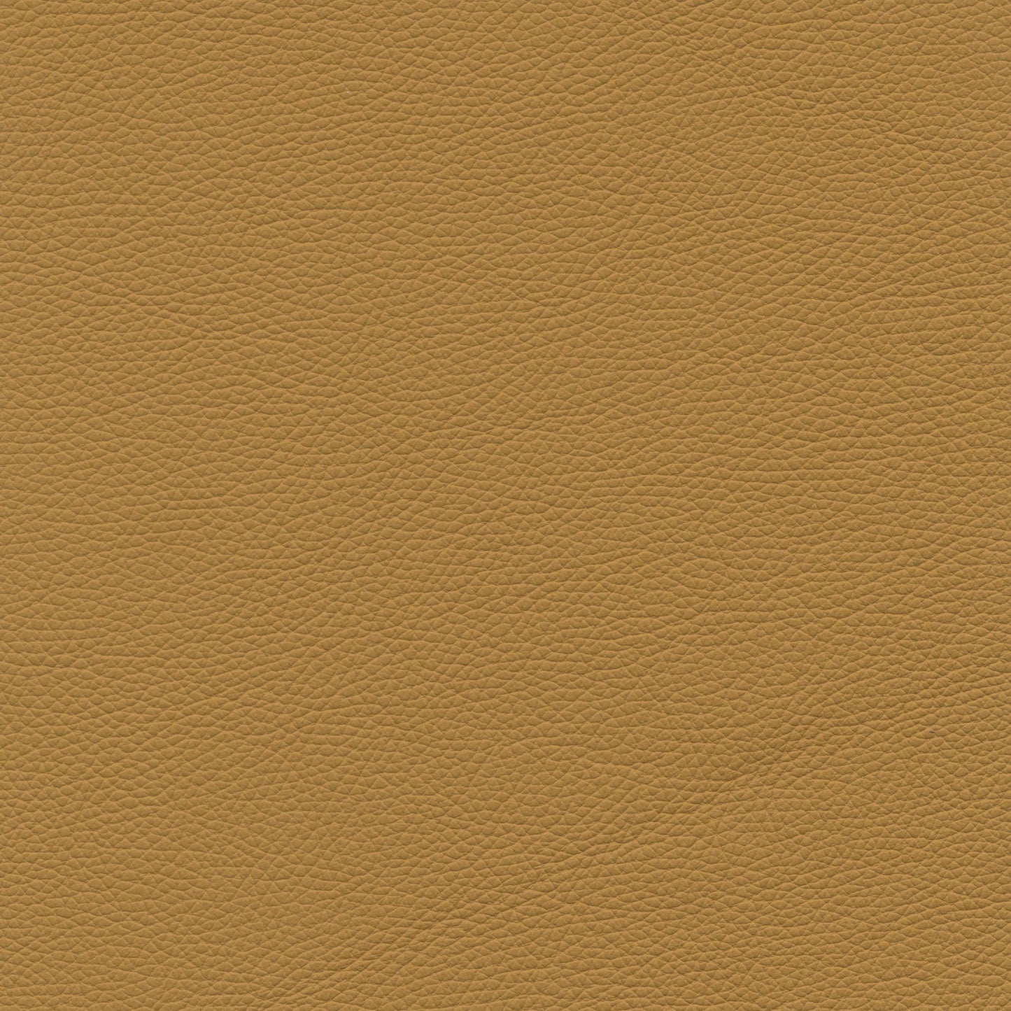 NICOLETTI - DOMUS LEATHER SECTIONAL - ITALY - Eurohaus Modern Furniture LLC