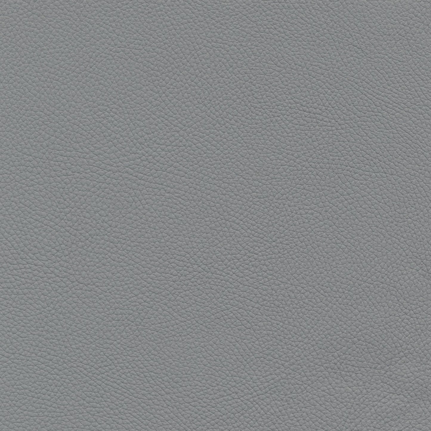 BULL360GRIGIO