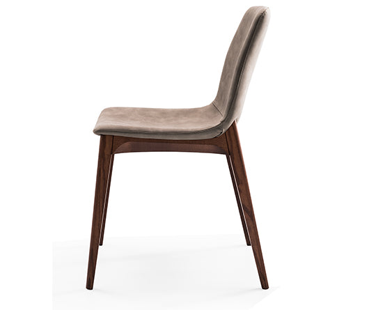 BUSETTO- Made in Italy- S062 Dining Chairs and Armchair S061A - Eurohaus Modern Furniture LLC