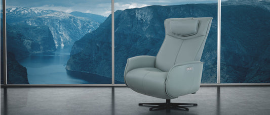 Fjords- AXEL Power Recliner - Eurohaus Modern Furniture LLC