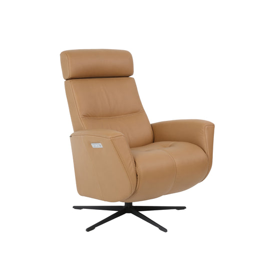Fjords Magnus Modern Recliner Chair - Eurohaus Modern Furniture LLC